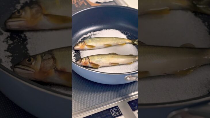 (男飯)鮎の塩釜焼きもどき　#あつ森 #魚