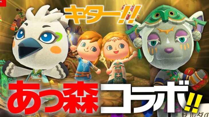 あつ森にミネルとチューリ登場!?ゼルダとあつ森コラボ!!【あつ森×ゼルダ】