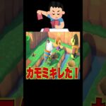 あみだくじ形状の住民デスレース🏃‍♂️🔥#あつ森 #落とし穴レース