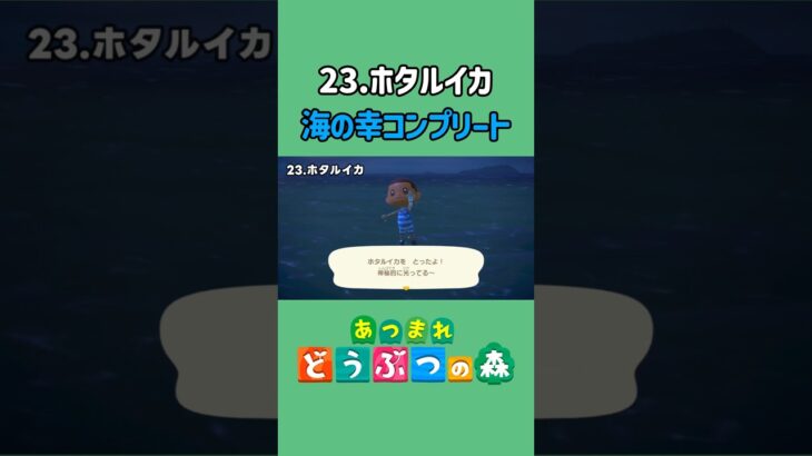 ホタルイカ、ゲットだぜ！【あつ森】