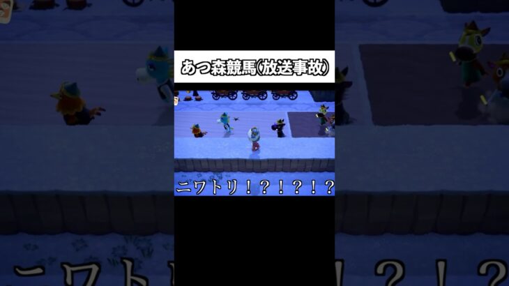 放送事故が起きたあつ森ダービー#あつ森#あつ森競馬