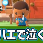 ハエで泣く【あつ森】