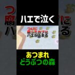 ハエに泣かされる！【あつ森】