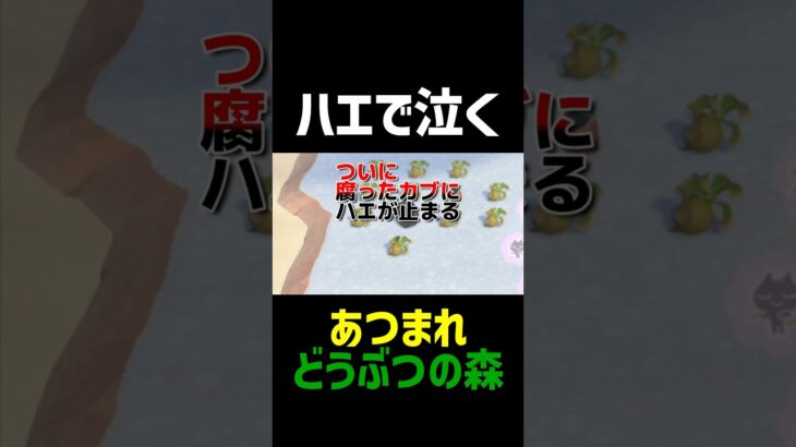ハエに泣かされる！【あつ森】