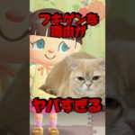 ペットの猫が不機嫌な理由がヤバすぎる/あつ森アニメ#あつまれどうぶつの森