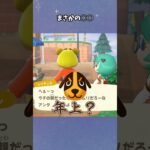 【あつ森】住民さんの年齢ってもしかして… #あつ森  #あつまれどうぶつの森  #女性ゲーム実況