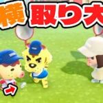 【あつ森】住民が狙ってる虫を横取りせよ！！！【あつまれどうぶつの森】