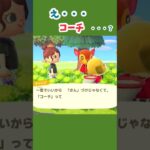 【あつ森】幸せは人それぞれ、と勝手に妄想 #あつ森 #あつ森日記 #あつまれどうぶつの森