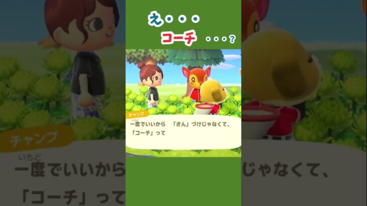 【あつ森】幸せは人それぞれ、と勝手に妄想 #あつ森 #あつ森日記 #あつまれどうぶつの森