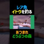 レア魚イトウを釣る！【あつ森】