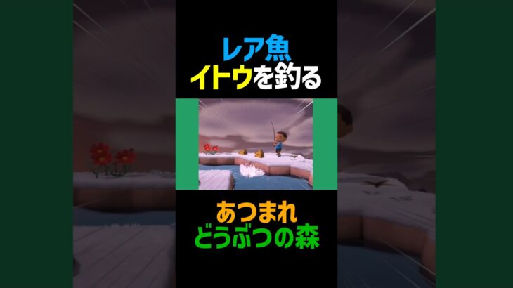 レア魚イトウを釣る！【あつ森】