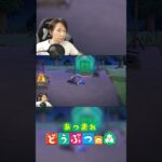無人島をなめていた男【あつ森】