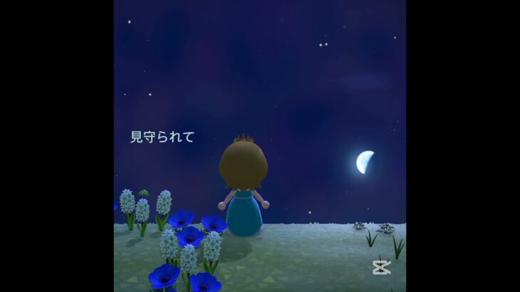 ひとりぼっち（修正して再upしました）／あつ森／66歳母