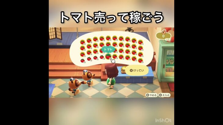 トマト売ったらいくらかな？　#vlog #あつ森 #あつまれどうぶつの森 #こはくちゃんねる2424 #animalcrossing #asmr #acnh #shorts
