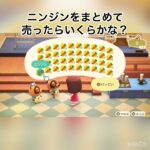 ニンジン売ったらいくらかな？　#vlog #あつ森 #あつまれどうぶつの森 #こはくちゃんねる2424 #animalcrossing #asmr #acnh #shorts