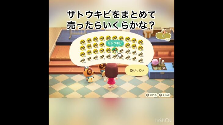 売ってお金を稼ぐ #vlog #あつ森 #あつまれどうぶつの森 #こはくちゃんねる2424 #animalcrossing #asmr #acnh #shorts