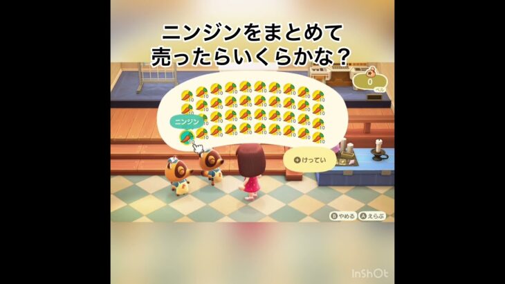 売ってお金を稼ぐ　#vlog #あつ森 #あつまれどうぶつの森 #こはくちゃんねる2424 #animalcrossing #asmr #acnh #shorts