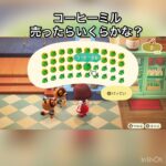 売ってお金を稼ぐ #vlog #あつ森 #あつまれどうぶつの森 #こはくちゃんねる2424 #animalcrossing #asmr #acnh #shorts