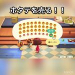 ホタテの売ってお金を稼ぐ　#vlog #あつ森 #あつまれどうぶつの森 #こはくちゃんねる2424 #animalcrossing #asmr #acnh #shorts