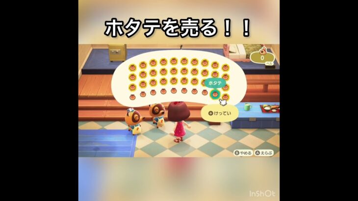 ホタテの売ってお金を稼ぐ　#vlog #あつ森 #あつまれどうぶつの森 #こはくちゃんねる2424 #animalcrossing #asmr #acnh #shorts