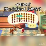 売ってお金を稼ぐ　#vlog #あつ森 #あつまれどうぶつの森 #こはくちゃんねる2424 #animalcrossing #asmr #acnh #shorts