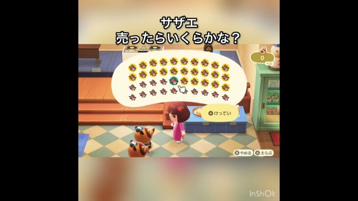 サザエ売ってお金を稼ぐ　#vlog #あつ森 #あつまれどうぶつの森 #こはくちゃんねる2424 #animalcrossing #asmr #acnh #shorts