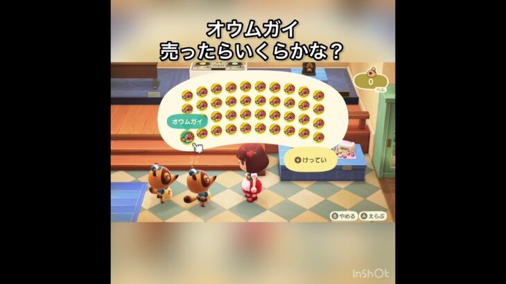 オウムガイ売ってお金を稼ぐ　#vlog #あつ森 #あつまれどうぶつの森 #こはくちゃんねる2424 #animalcrossing #asmr #acnh #shorts