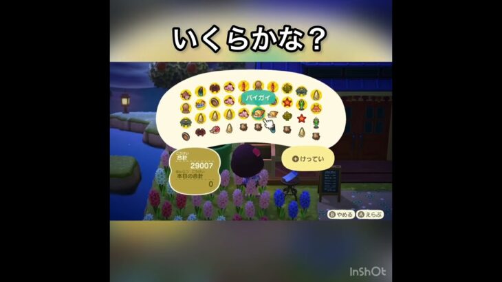 海の幸売ってお金を稼ぐ　#vlog #あつ森 #あつまれどうぶつの森 #こはくちゃんねる2424 #animalcrossing #asmr #acnh #shorts