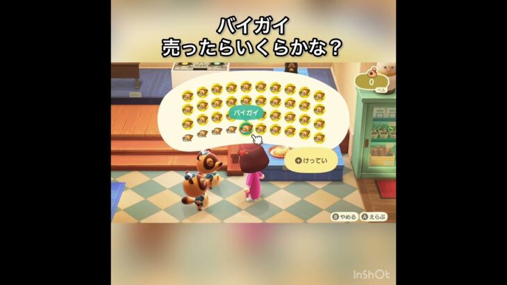 バイガイ売ってお金を稼ぐ　#vlog #あつ森 #あつまれどうぶつの森 #こはくちゃんねる2424 #animalcrossing #asmr #acnh #shorts