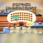 タカアシガニ売ってお金を稼ぐ　#vlog #あつ森 #あつまれどうぶつの森 #こはくちゃんねる2424 #animalcrossing #asmr #acnh #shorts