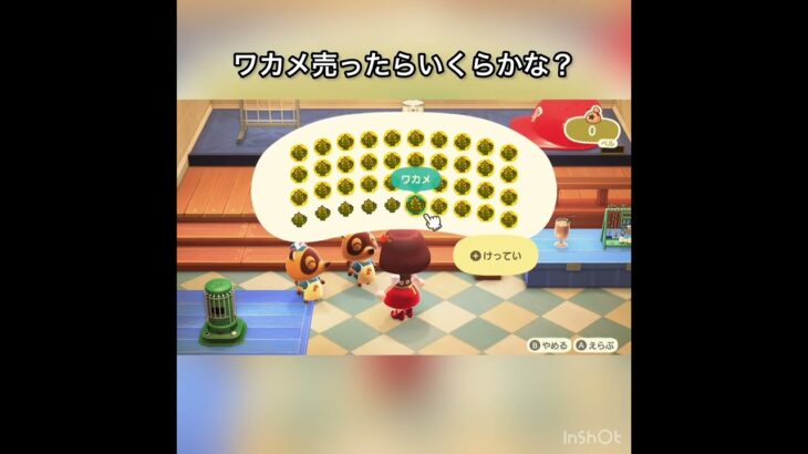 ワカメ売ってお金を稼ぐ　#vlog #あつ森 #あつまれどうぶつの森 #こはくちゃんねる2424 #animalcrossing #asmr #acnh #shorts