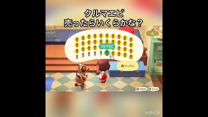 クルマエビ売ってお金を稼ぐ　#vlog #あつ森 #あつまれどうぶつの森 #こはくちゃんねる2424 #animalcrossing #asmr #acnh #shorts
