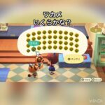 ワカメ売ってお金を稼ぐ　#vlog #あつ森 #あつまれどうぶつの森 #こはくちゃんねる2424 #animalcrossing #asmr #acnh #shorts