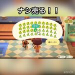 売ってお金を稼ぐ　#vlog #あつ森 #あつまれどうぶつの森 #こはくちゃんねる2424 #animalcrossing #asmr #acnh #shorts
