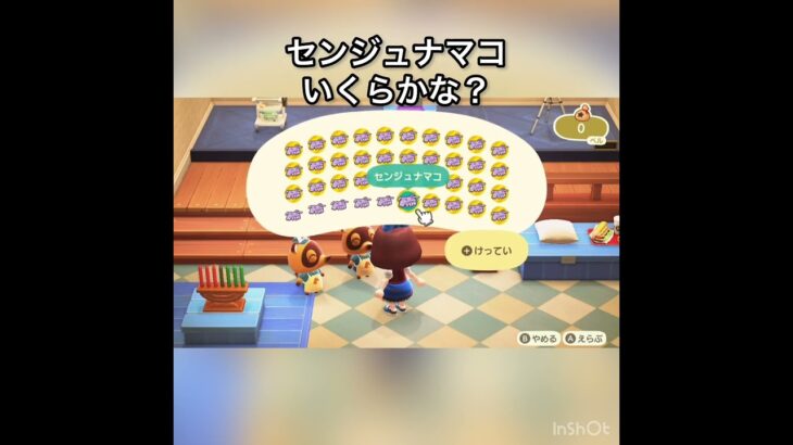 センジュナマコ売ってお金を稼ぐ　#vlog #あつ森 #あつまれどうぶつの森 #こはくちゃんねる2424 #animalcrossing #asmr #acnh #shorts