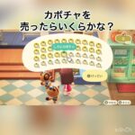 売ってお金を稼ぐ　#vlog #あつ森 #あつまれどうぶつの森 #こはくちゃんねる2424 #animalcrossing #asmr #acnh #shorts