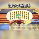 売ってお金を稼ぐ　#vlog #あつ森 #あつまれどうぶつの森 #こはくちゃんねる2424 #animalcrossing #asmr #acnh #shorts