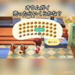 売ってお金を稼ぐ #vlog #あつ森 #あつまれどうぶつの森 #こはくちゃんねる2424 #animalcrossing #asmr #acnh #shorts