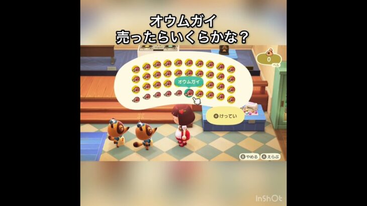 売ってお金を稼ぐ　#vlog #あつ森 #あつまれどうぶつの森 #こはくちゃんねる2424 #animalcrossing #asmr #acnh #shorts