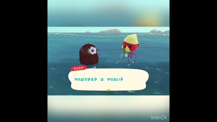 今日のラコスケ　#vlog #あつ森 #あつまれどうぶつの森 #こはくちゃんねる2424 #animalcrossing #asmr #acnh #shorts