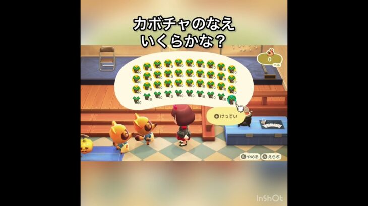 カボチャのなえ売ってお金を稼ぐ　#vlog #あつ森 #あつまれどうぶつの森 #こはくちゃんねる2424 #animalcrossing #asmr #acnh #shorts