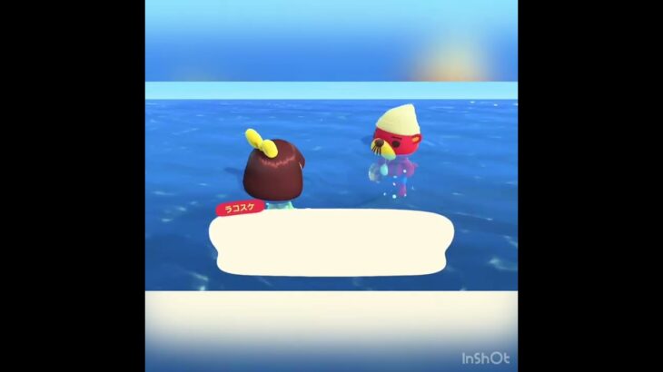 今日のラコスケ　#vlog #あつ森 #あつまれどうぶつの森 #こはくちゃんねる2424 #animalcrossing #asmr #acnh #shorts