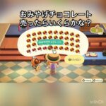 おみやげチョコレート売ってお金を稼ぐ　#vlog #あつ森 #あつまれどうぶつの森 #こはくちゃんねる2424 #animalcrossing #asmr #acnh #shorts