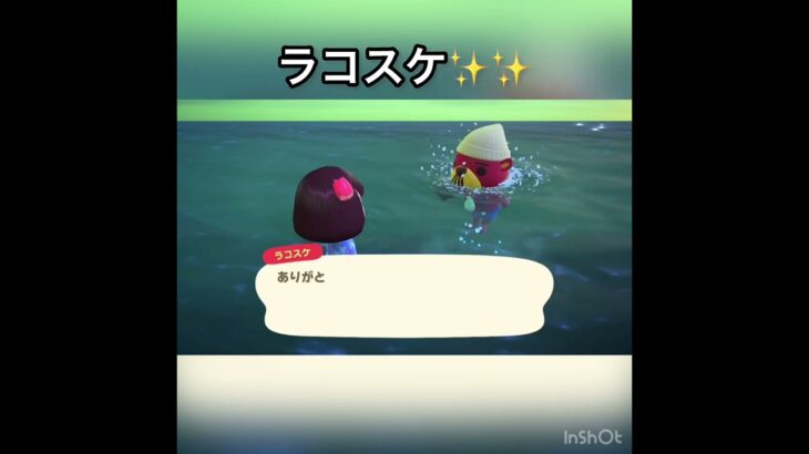 今日のラコスケ #vlog #あつ森 #あつまれどうぶつの森 #こはくちゃんねる2424 #animalcrossing #asmr #acnh #shorts