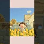 【あつ森vlog】朝の日課☀️