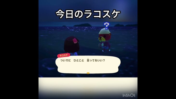 今日のラコスケ　#あつ森 #あつまれどうぶつの森 #vlog #acnh #こはくちゃんねる2424