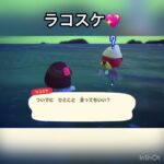 今日のラコスケ　#あつ森 #あつまれどうぶつの森 #vlog #acnh #こはくちゃんねる2424