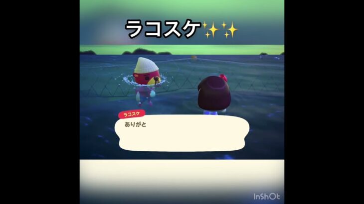今日のラコスケ　#あつ森 #あつまれどうぶつの森 #vlog #acnh #こはくちゃんねる2424