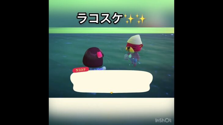 今日のラコスケ　#あつ森 #あつまれどうぶつの森 #vlog #acnh #こはくちゃんねる2424