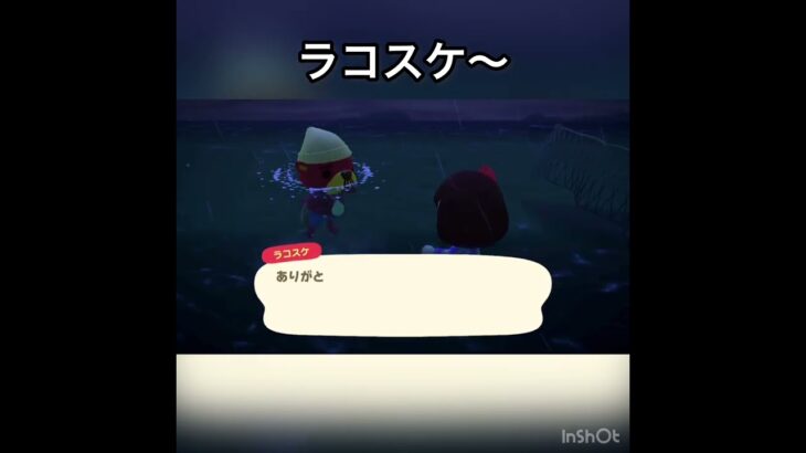 今日のラコスケ　#あつ森 #あつまれどうぶつの森 #vlog #acnh #こはくちゃんねる2424